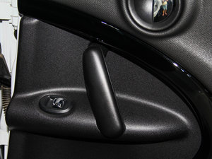 2013COOPER EXCITEMENT g