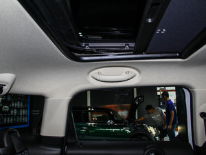 2013COOPER EXCITEMENT g