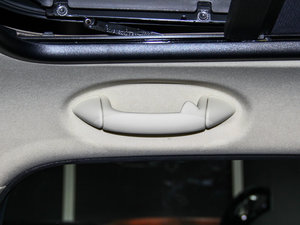 2013COOPER EXCITEMENT g