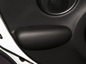 2013COOPER EXCITEMENT g