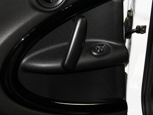 2013COOPER EXCITEMENT g