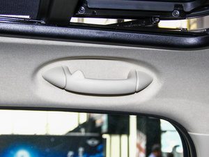 2013COOPER EXCITEMENT g