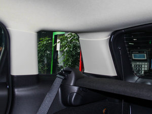 2013COOPER EXCITEMENT g