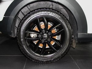 2013COOPER EXCITEMENT (ji)^