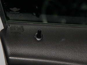 2013COOPER EXCITEMENT g