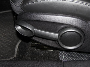 2013COOPER EXCITEMENT g