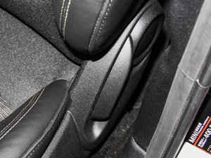 2013COOPER EXCITEMENT g