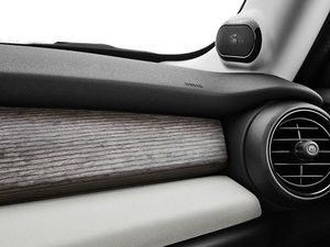 2014COOPER Excitement g