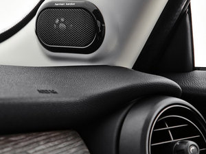 2014COOPER Excitement g