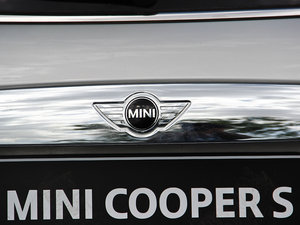 20143-DOOR COOPER S Excitement (x)(ji)^