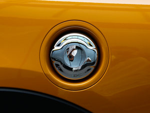 20143-DOOR COOPER S Excitement (x)(ji)^