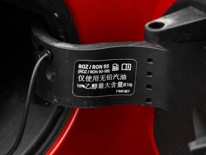 2014COOPER Excitement (ji)^