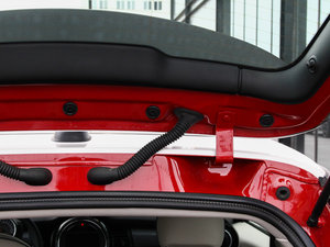 2014COOPER Excitement g