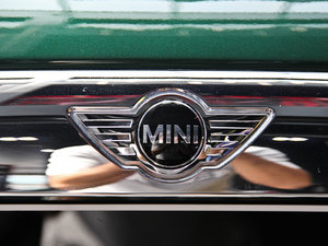 2014COOPER Excitement (ji)^