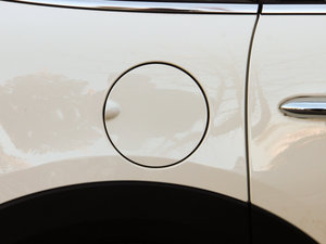 20155-DOOR COOPER Excitement (x)(ji)^