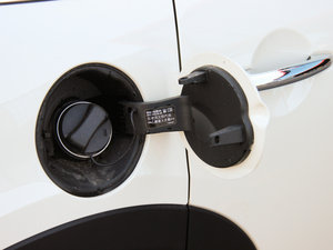 20155-DOOR COOPER Excitement w