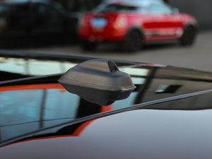 20155-DOOR COOPER Excitement (x)(ji)^