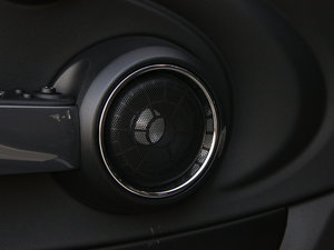 20155-DOOR COOPER Excitement g