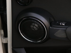 20155-DOOR COOPER Excitement g