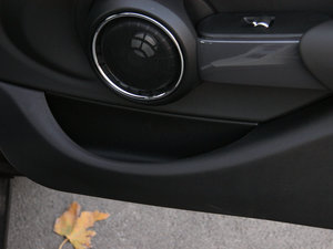 20155-DOOR COOPER Excitement g