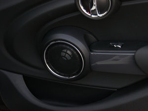 20155-DOOR COOPER Excitement g