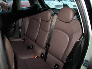 20155-DOOR COOPER Excitement 