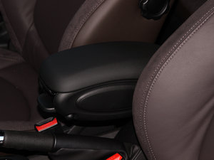 20155-DOOR COOPER Excitement 