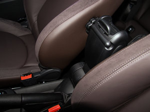 20155-DOOR COOPER Excitement g