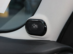 20155-DOOR COOPER Excitement g