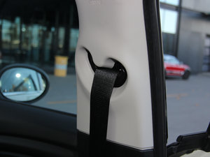 20155-DOOR COOPER Excitement g