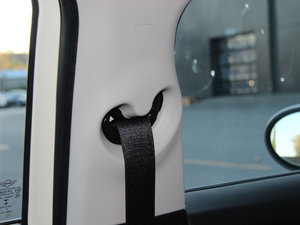 20155-DOOR COOPER Excitement g