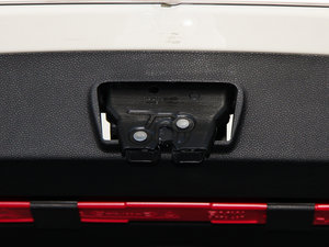 20155-DOOR COOPER Excitement 