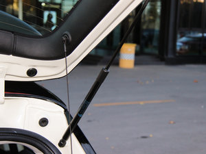 20155-DOOR COOPER Excitement 