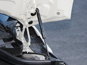 20155-DOOR COOPER Excitement 