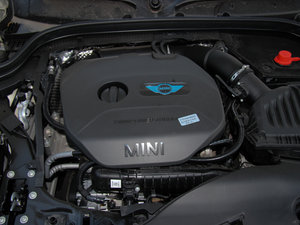 20155-DOOR COOPER Excitement 