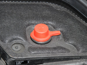 20155-DOOR COOPER Excitement 