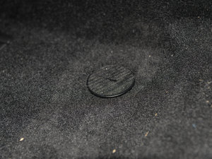 20155-DOOR COOPER Fun g