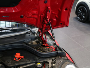 20165-DOOR COOPER S F(xin) 