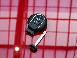 20165-DOOR COOPER S F 