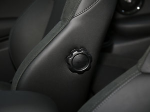 20163-DOOR COOPER S h g