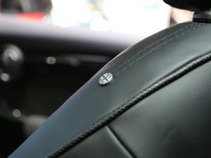 2018T 2.0T COOPER S (jng) g