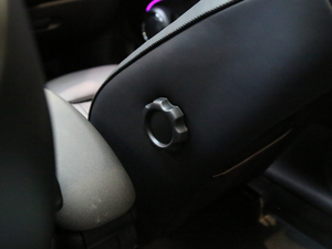 20185-DOOR COOPER ɫʼo(j) g