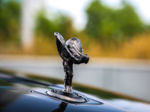 2020Black Badge (x)(ji)^