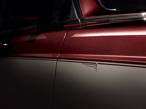 2014Pinnacle Travel g