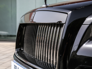 2017款Black Badge 细节外观