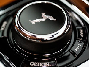 2019(bio)(zhn)S п؅^(q)