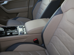 20193.0TSI Jǰ (gu)V 