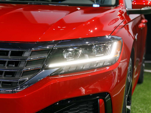 2019������ �������^