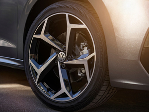 2019������ �������^