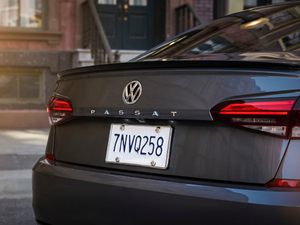 2019������ �������^